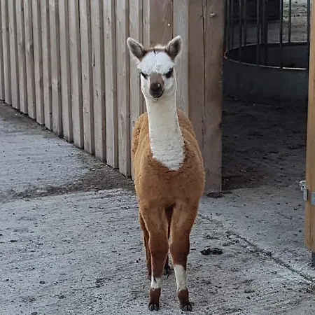 Morgan's Rest Pickering