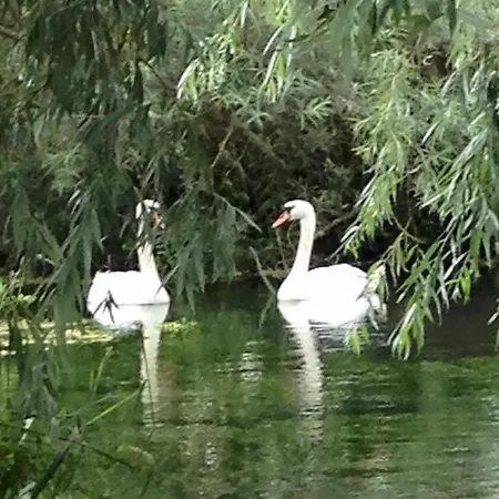 Feriehus Morgan's Rest Pickering