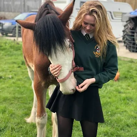 Feriehus Morgan's Rest Pickering